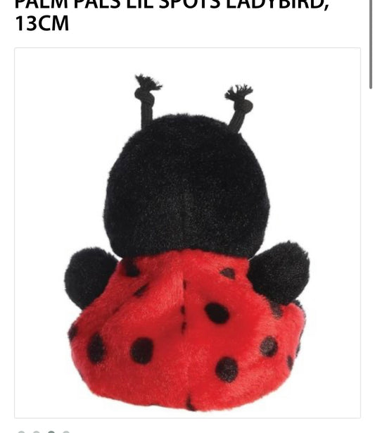Lil Spots Lady Bird Palm Pals