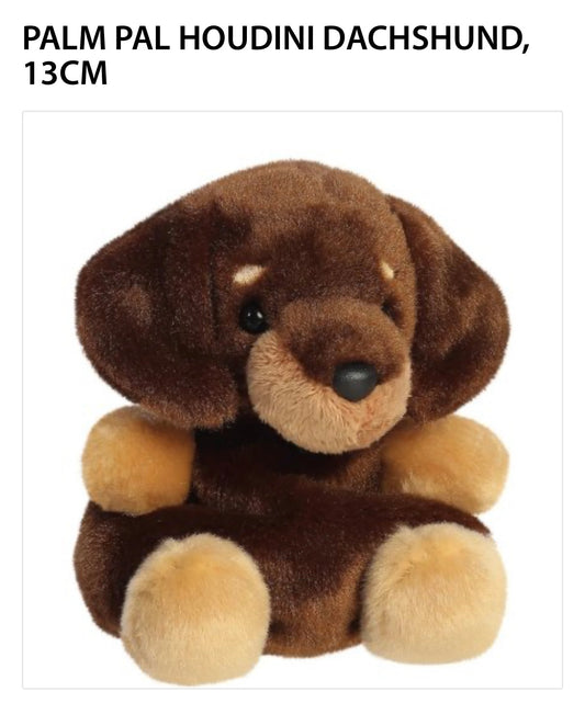 Houdini Dachshund Palm Pals